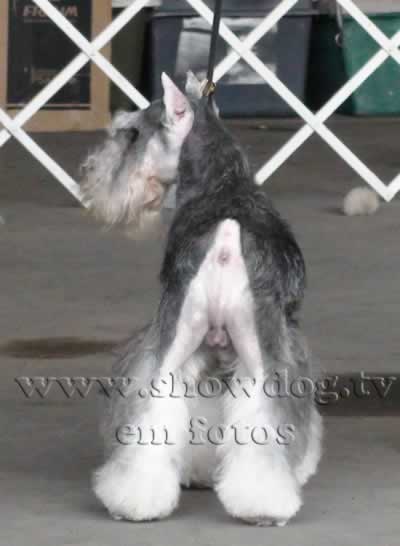 Clique sobre a foto para fechar